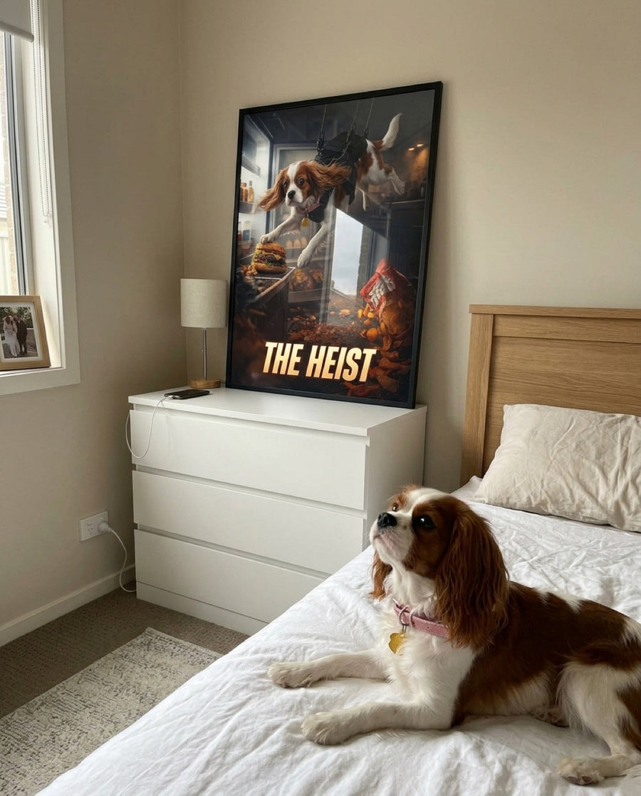 Framed Heist poster on bedroom drawers, Cavalier King Charles spaniel on the bed looking up at it
