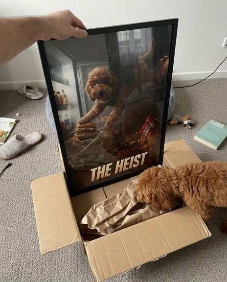 Example: The Heist poster being unboxed, poodle sniffing the box